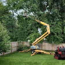Best Commercial Tree Services  in Harlan, KY