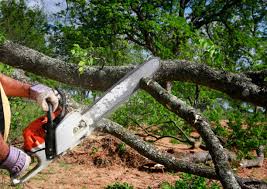 Best Seasonal Cleanup (Spring/Fall)  in Harlan, KY