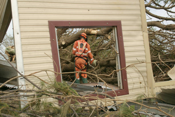 Best Root Management and Removal  in Harlan, KY