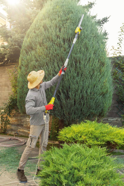 Best Lawn Irrigation Installation and Maintenance  in Harlan, KY